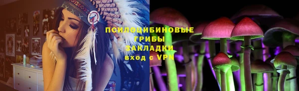 шишки Новокубанск