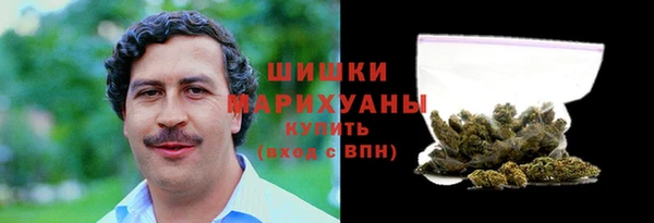 Альфа ПВП Белокуриха